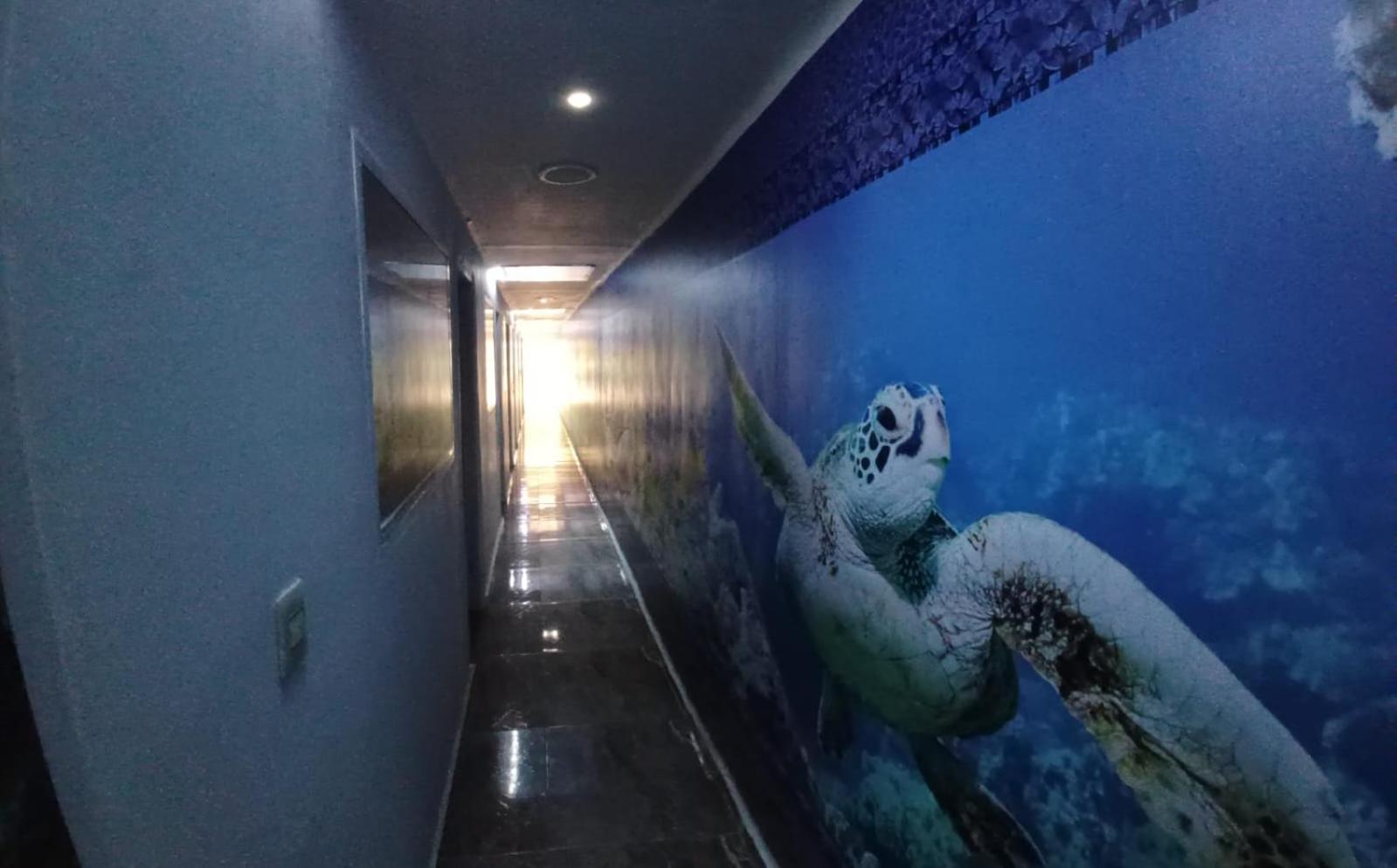 Hotel Dmauro Cartagena Екстериор снимка
